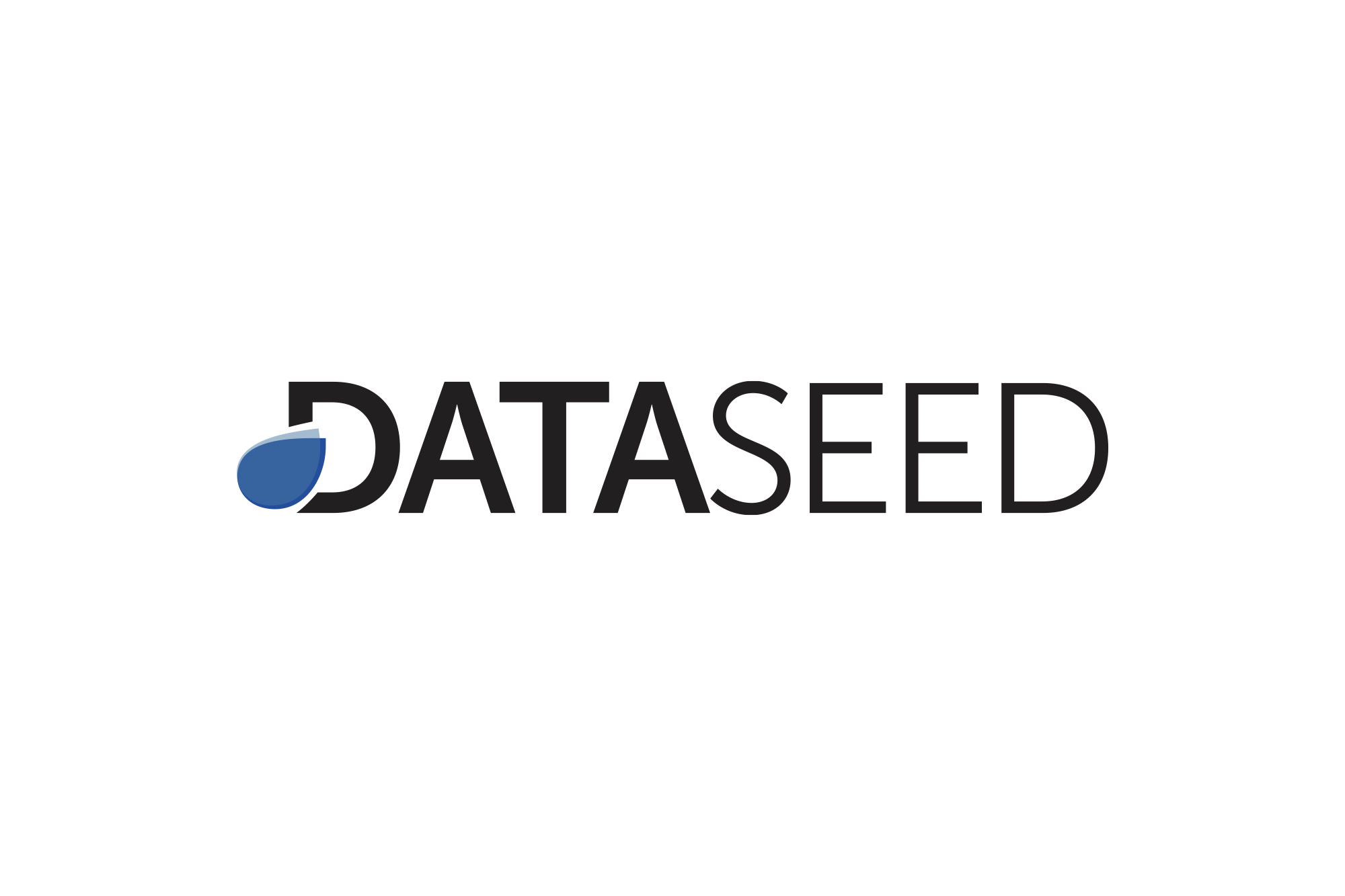 DataSeed - logo, branding, web, print - img 1