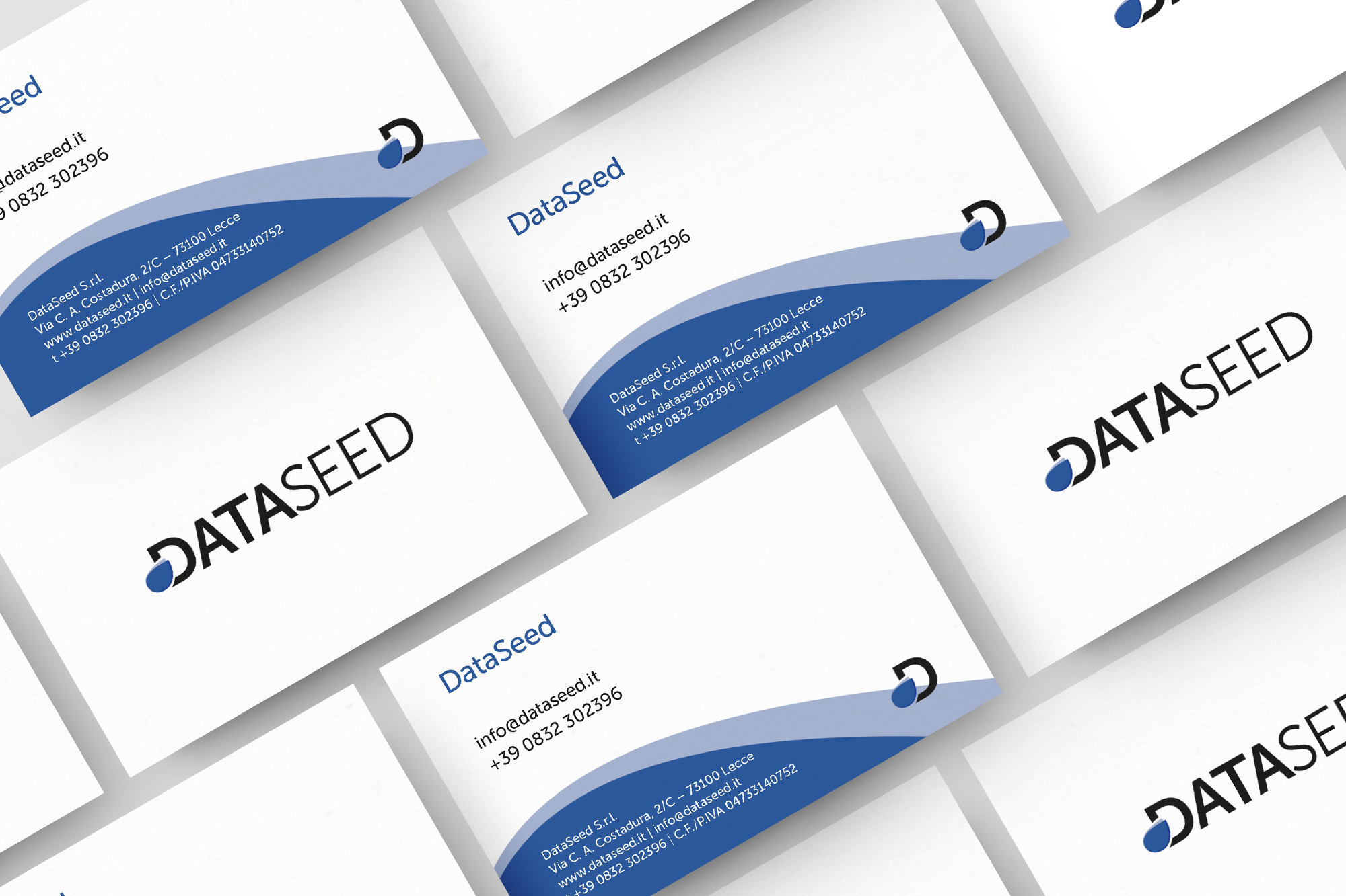 DataSeed - logo, branding, web, print - img 4